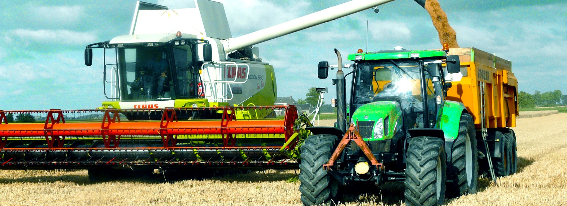 Linxi County Weishida Bearing Manufacture Co., Ltd